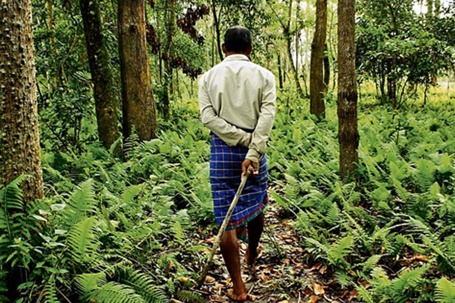 ଜଙ୍ଗଲ ଅଧିକାର ଆଇନ; ଏକ ନୂଆ ସମ୍ଭାବନା